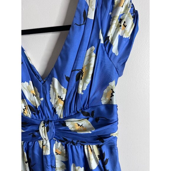 Luzi Chin Maggy Boutique Blue Floral Cottagecore Sundress V Neck Fit Flare Petit - Picture 8 of 8